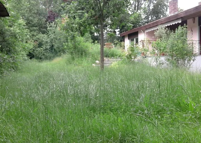 Проживание в семье Haus Vogelparadies