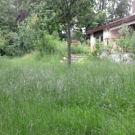 Homestay Haus Vogelparadies